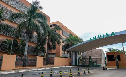 Anvisa: suplementos com cúrcuma podem trazer risco de danos ao fígado